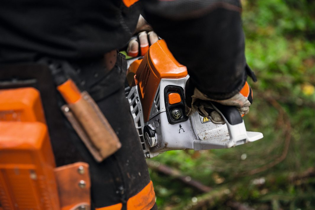 GASOLINE CHAINSAW MS 500¡